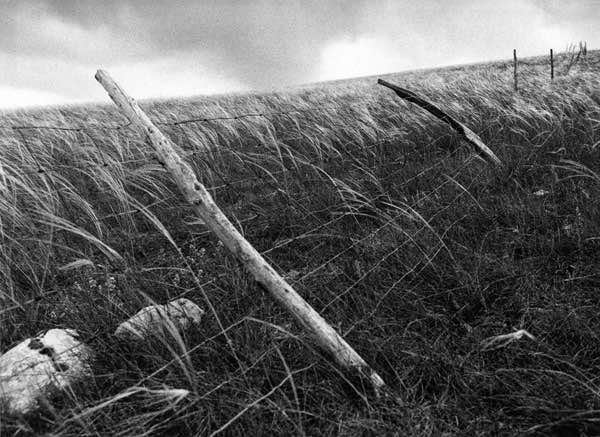 Marie VIDAL - author photographer artist - Cévennes