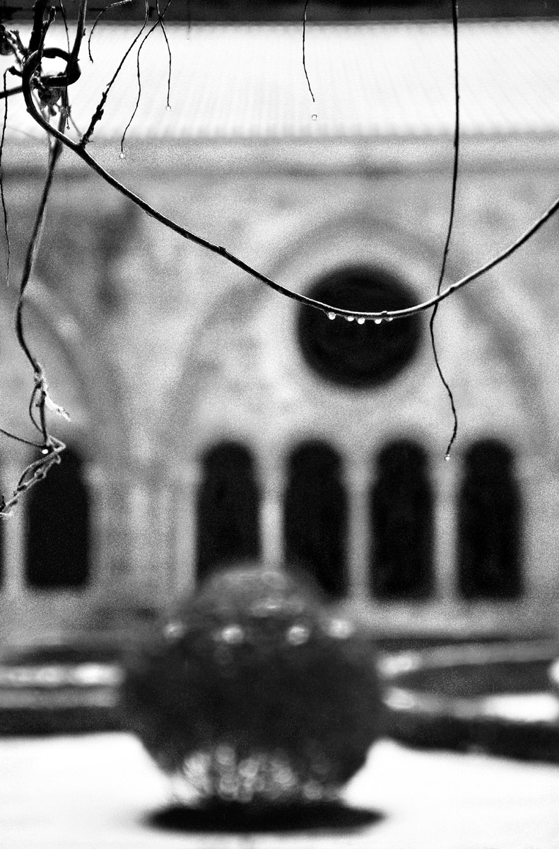 Marie VIDAL - auteure photographe artiste - Fontfroide - Vibration