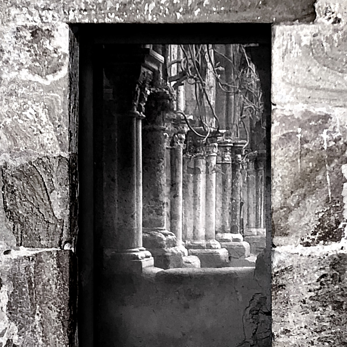 Marie VIDAL - auteure photographe artiste - Fontfroide - sagesse creatrice